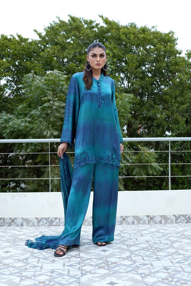 DSC03749